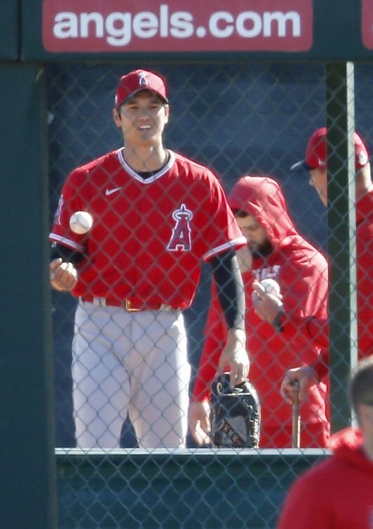 오타니 쇼헤이(사진=연합뉴스)